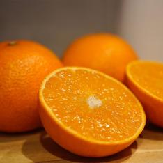 【最適な時期に収穫し、順次発送予定】愛媛県産　紅まどんな小箱（1.8kg）