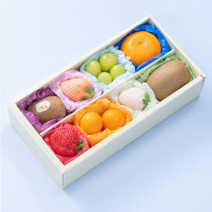 すっきりフルーツ４箱セット ファビウス すっきりフルーツ青汁 30包×4箱 【公式通販】