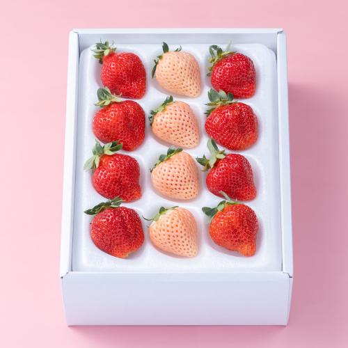 【最適な時期に収穫し、順次発送予定】紅白いちごギフト箱(12-15粒)