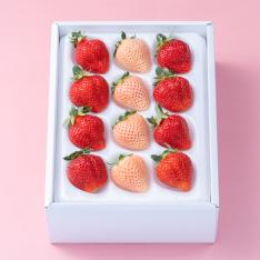 【最適な時期に収穫し、順次発送予定】紅白いちごギフト箱(12-15粒)