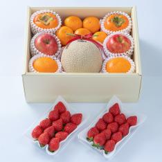 【最適な時期に収穫し、順次発送予定】旬のフルーツセットF13