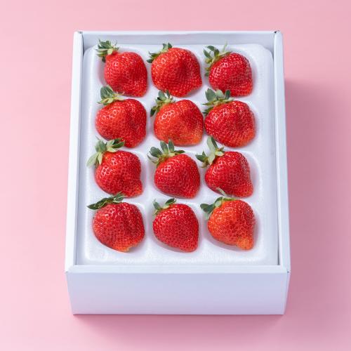 【最適な時期に収穫し、順次発送予定】福岡産あまおうギフト箱(12-15粒)