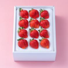 【最適な時期に収穫し、順次発送予定】福岡産あまおうギフト箱（12-15粒）