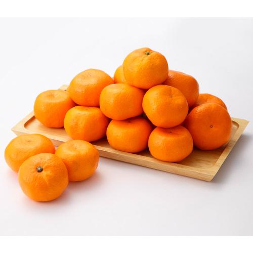 ＜西澤商店＞愛媛県産　みかん5kg