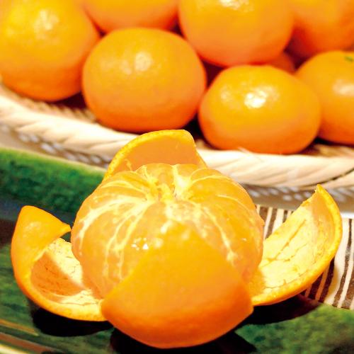 〈さかもとふるーつ〉熊本県産オーガニックみかん