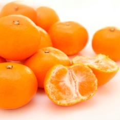 【最適な時期に収穫し、順次発送予定】愛媛県産「媛一みかん」3Kg