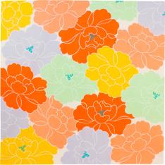 ひめむすび ふろしき