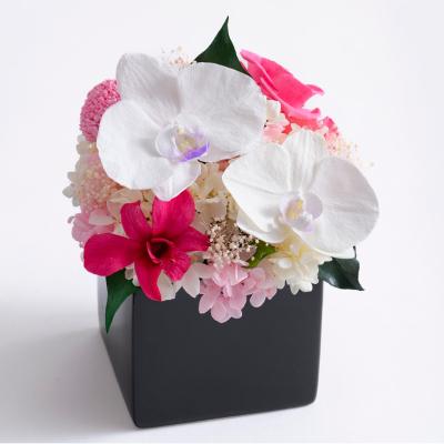 Belles Fleurs プリザーブドフラワーアレンジメント ピンクバラ Belles Fleurs プリザーブドフラワーアレンジメント ピンクバラ