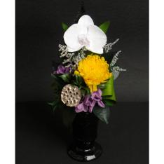 仏花　蓮華（胡蝶蘭）