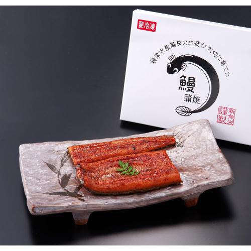 【敬老の日】焼津水産高校鰻蒲焼セット