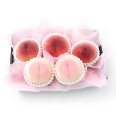 【収穫状況に応じ、順次発送予定】味比べ桃セット