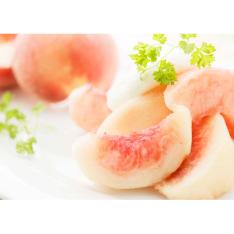 【収穫状況に応じ、順次発送予定】和歌山産 あら川の桃