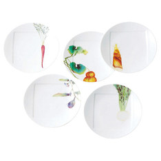 京香旬彩 15.5cmプレート 5枚セット