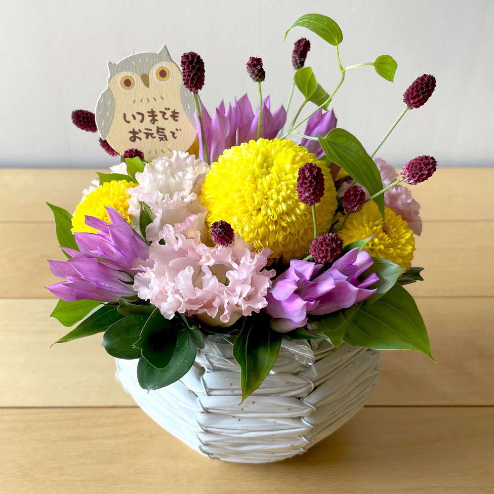【敬老の日】生花 アレンジメント「すいれい」