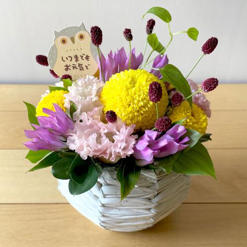 【敬老の日】生花 アレンジメント「すいれい」
