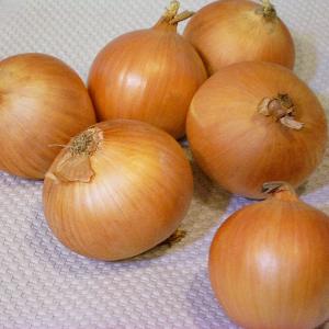 北海道 新篠津村産 特別栽培玉ねぎ 10kg 商品詳細 高島屋オンラインストア