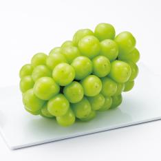 【最適な時期に収穫し、順次発送予定】〈岡山・アンシャンテ〉シャインマスカット