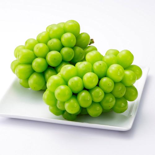 【最適な時期に収穫し、順次発送予定】〈岡山・アンシャンテ〉シャインマスカット2房