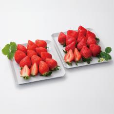 【最適な時期に収穫し、順次発送予定】〈福岡・長崎〉あまおう・夢の香詰合せ