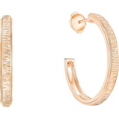 POSSESSION  イヤリング