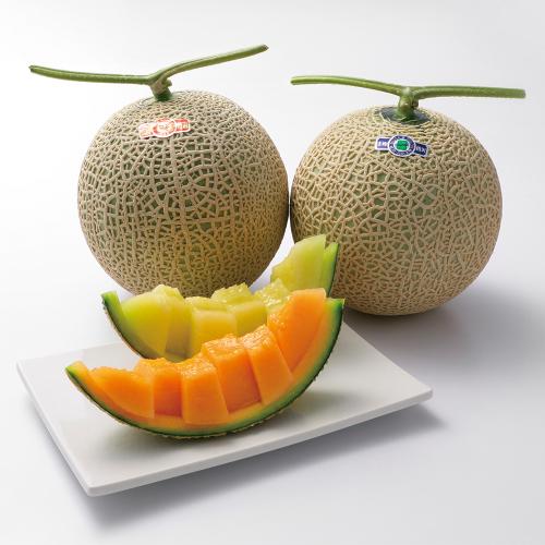 【最適な時期に収穫し、順次発送予定】〈高知・熊本〉青肉・赤肉メロン詰合せ