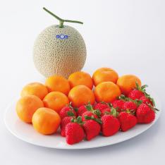 【最適な時期に収穫し、順次発送予定】フルーツウインターセット