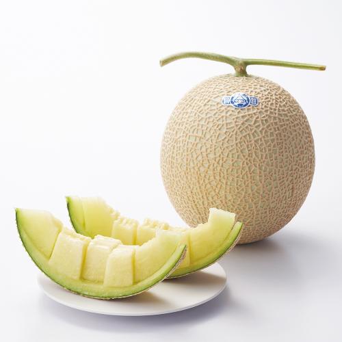 【最適な時期に収穫し、順次発送予定】〈静岡・アローマ磐田〉マスクメロン