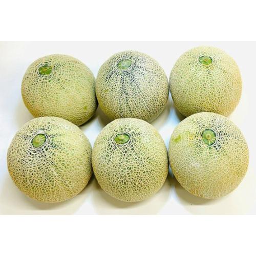 ＜西澤商店＞アンデスメロン（6個）訳アリ