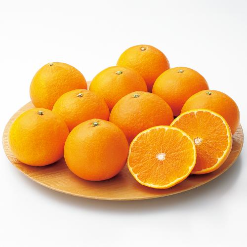 【最適な時期に収穫し、順次発送予定】〈愛媛〉紅まどんな