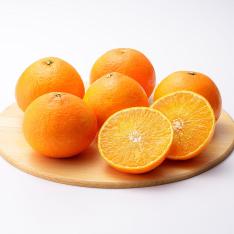 【最適な時期に収穫し、順次発送予定】〈愛媛〉紅まどんな