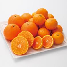 【最適な時期に収穫し、順次発送予定】〈愛媛〉紅まどんなとはれひめ