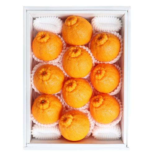 【最適な時期に収穫し、順次発送予定】〈熊本・JA熊本果実連〉デコポン