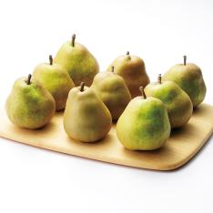 【最適な時期に収穫し、順次発送予定】〈山形〉ラ・フランス食べ比べ