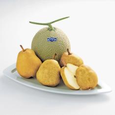 【最適な時期に収穫し、順次発送予定】〈高知・山形〉メロン＆ラ・フランス詰合せ