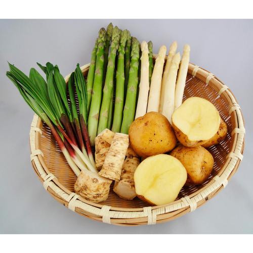 北の味覚 北海道産野菜セット～春～
