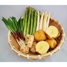 北の味覚 北海道産野菜セット～春～