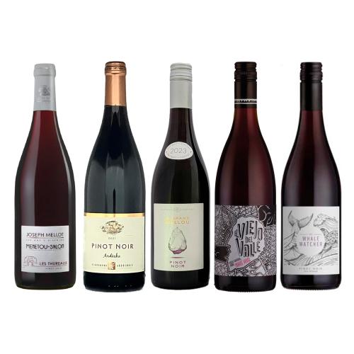 フランス＆ニューワールド ピノ ノワール 飲み比べ5本セット