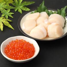福袋 北海道産 いくら醤油漬&ホタテ貝柱