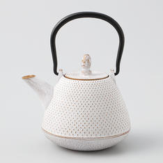 南部鉄器　急須　富士型霰　ホワイトゴールド