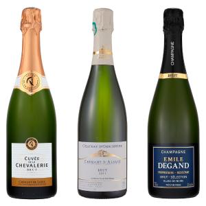 長期瓶内熟成シャンパーニュ3本セット | 商品詳細 | 高島屋オンライン