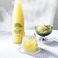 〈青森・板柳町りんごワーク〉「完熟」アップルジュース&ゼリーセット