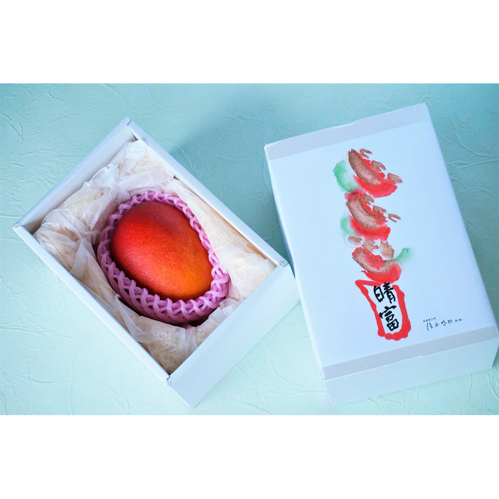 宮崎産マンゴー1玉