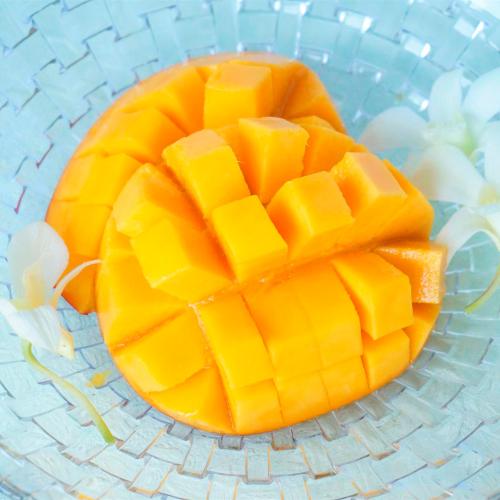 宮崎産マンゴー3玉