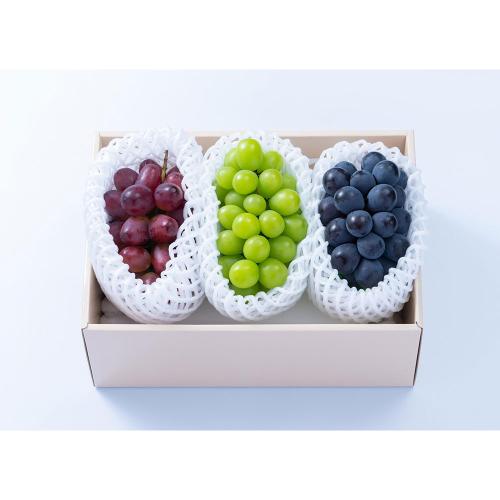 【敬老の日】葡萄3種食べ比べ