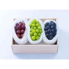 【敬老の日】葡萄3種食べ比べ