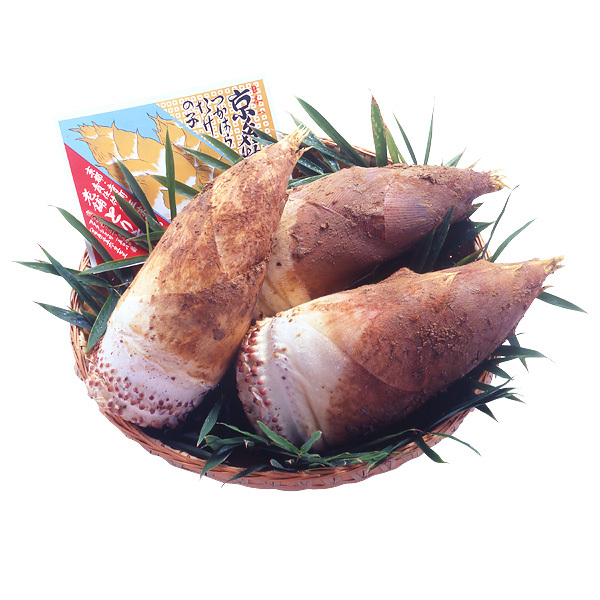 ＜京都・洛西塚原産、物集女産＞朝掘り白子竹の子（木の芽・わかめ・米ぬか付）