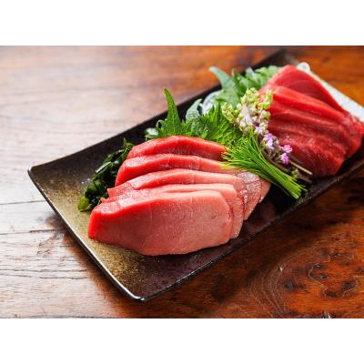 ＜ヤママサ＞塩釜港水揚げ 天然本マグロ