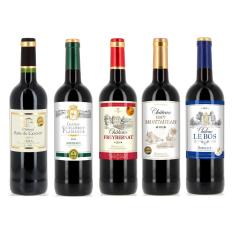 フランス ボルドー 赤ワイン 金賞受賞 5本セット
