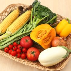 北の味覚 北海道産野菜セット~夏~