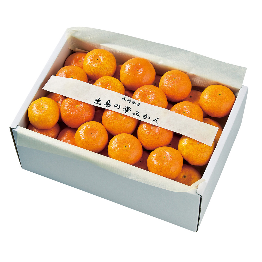 出島の華みかん 2.5kg